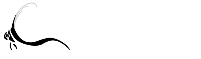 Dive and Travel Adventures Logo