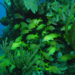 ????????????????????????????????????????????????????????????????????????????????????????????????????????????????????????????????